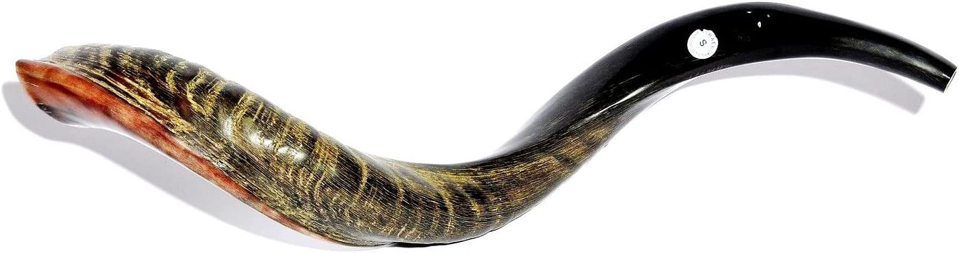 Shofars