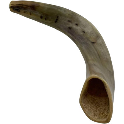 Authentic & Kosher Polished Ram's Horn Shofar from Israel