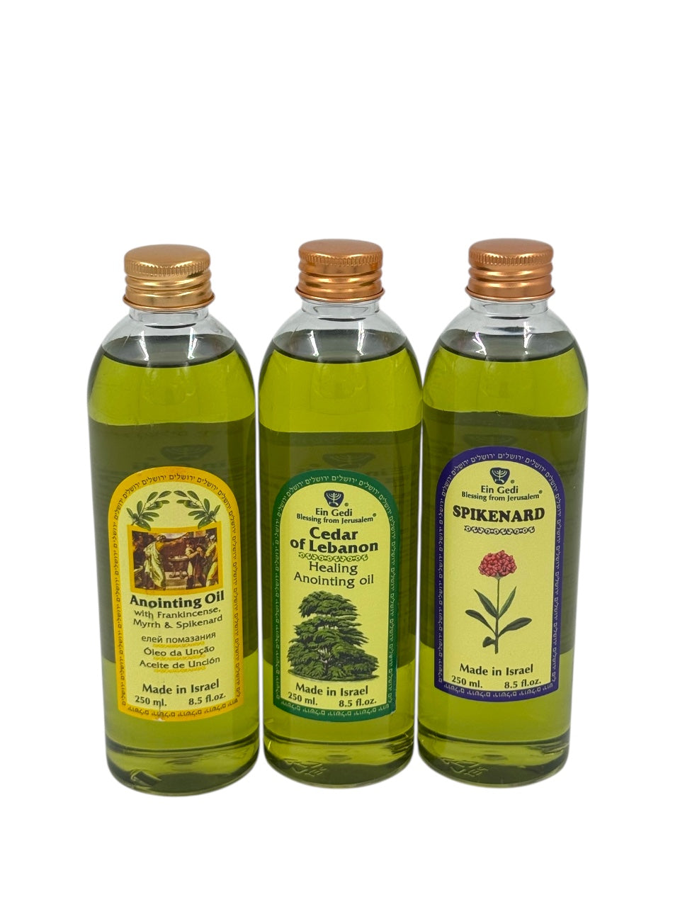 Ein Gedi Blessing from Jerusalem Anointing Oils - 3 Bottle Set (250ml Each)