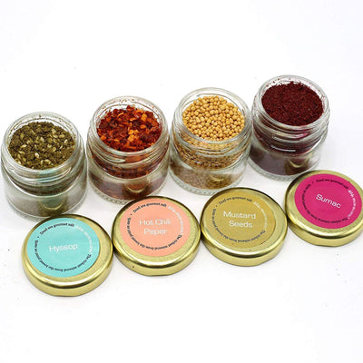 Gourmet Spices Dead Sea 4-Pack Organic Dead Sea Spices Salt Variety Set