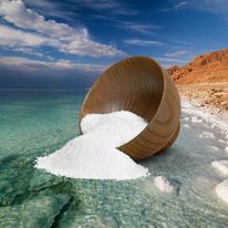 Golden Gourmet Salt From The Dead Sea 3.87 oz / 110 grams
