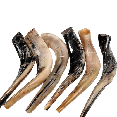 Kosher Authentic High Quality Polished Shofar 16″-18″ / 40 - 45 cm