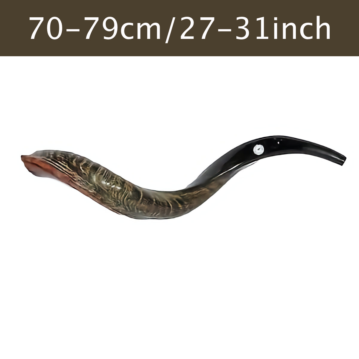 Authentic Yemenite Kosher Shofar 27"-31" / 70 cm - 79 cm