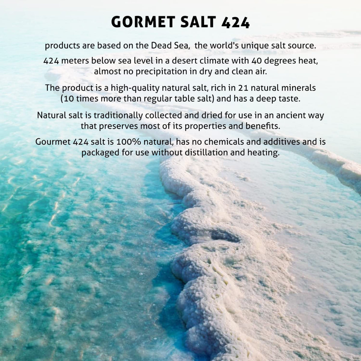 Salt and Garlic Gourmet Salt From The Dead Sea 3.87 oz / 110 grams