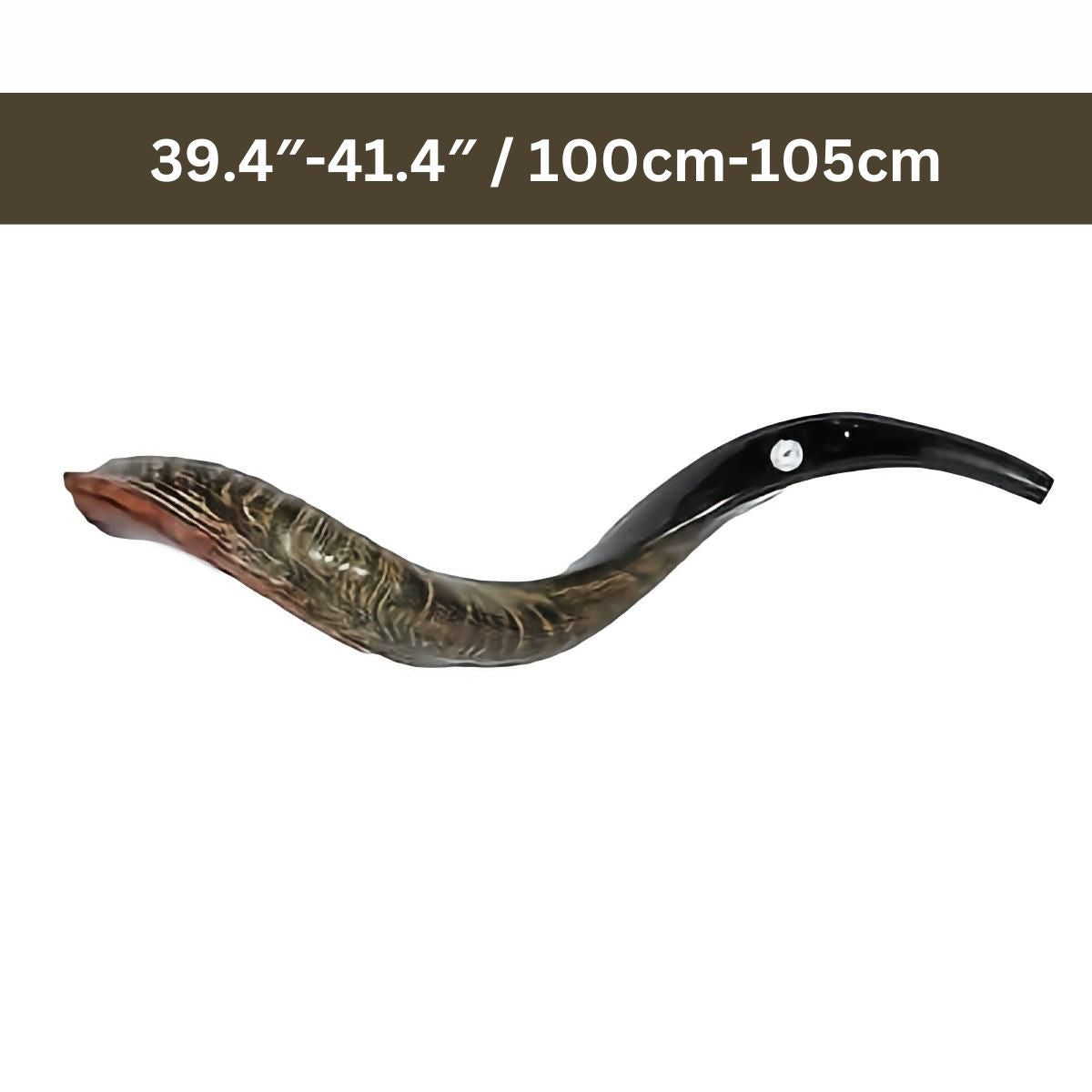 Authentic High Quality Yemenite Shofar 39.4 ″-41.4 ″ / 100 cm -105 cm