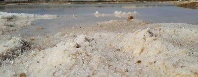 Black Coarse Salt Gourmet Salt From The Dead Sea 14.10 oz / 400 grams - Spring Nahal