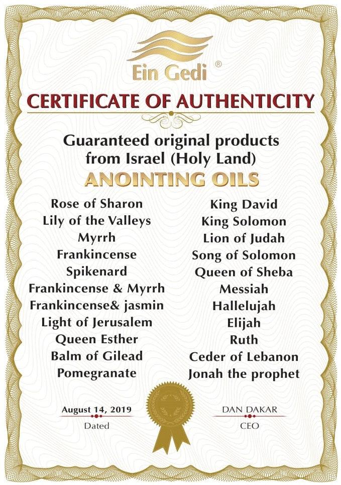 Lot of 6 x Diffrent Anointing Oil 100 ml - 3.4 fl.oz from Holy Land Jerusalem - Spring Nahal