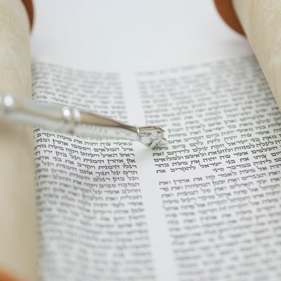Elegant Hebrew Sefer Torah Scroll Book Jewish Israel Holy Bible