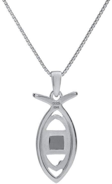 Nano Sim NT Silver and 9K Gold Pendant - Ichthys symbol with Eye From the Holy Land - Spring Nahal
