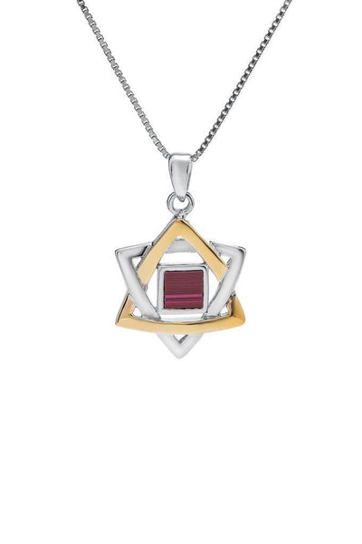 Nano Sim OB Silver and 9K Gold Pendant - Star of David From The Holy Land - Spring Nahal