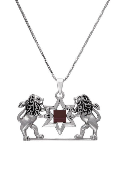 Nano Sim OB Silver Pendant - Lion of Judah with Star of David From the Holy Land - Spring Nahal