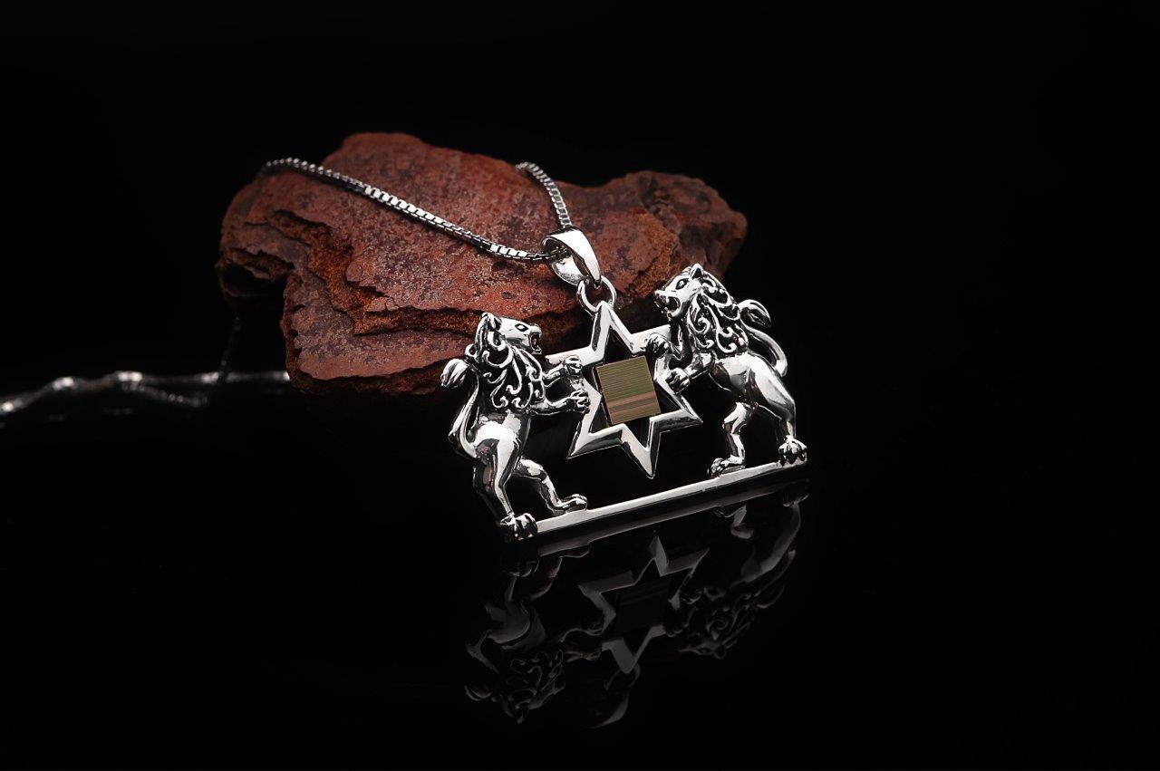 Nano Sim OB Silver Pendant - Lion of Judah with Star of David From the Holy Land - Spring Nahal
