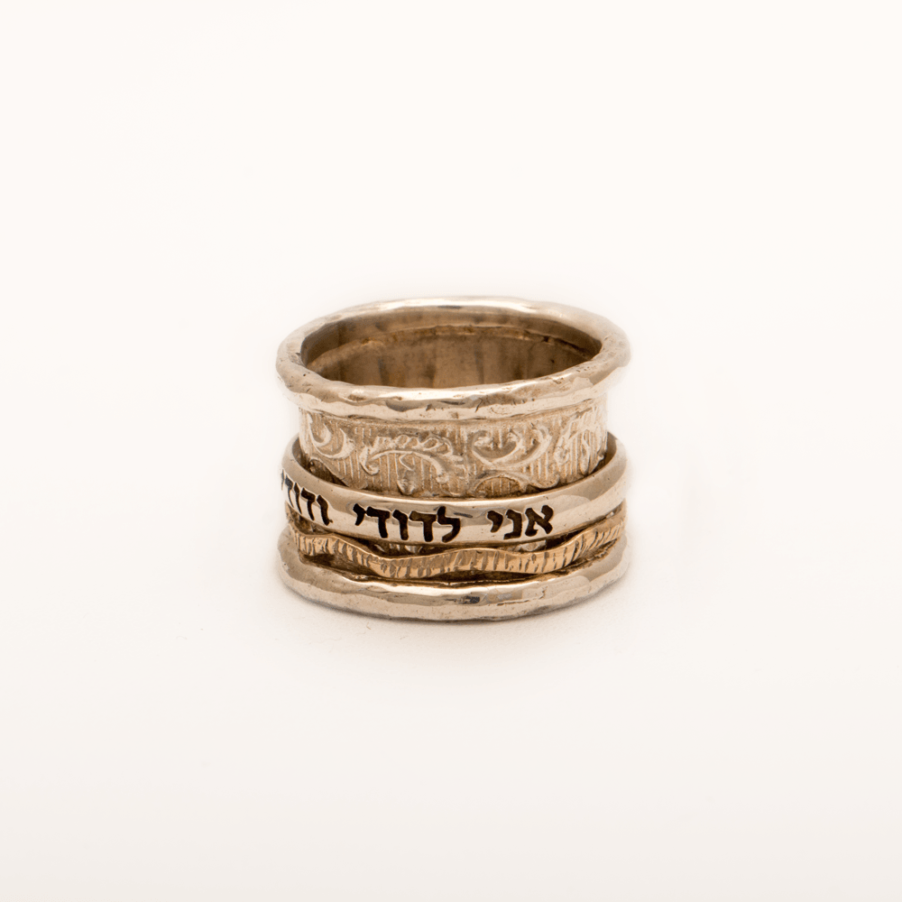 Spinning Ring 9K Gold and Sterling Silver With Crystal Stone and bible quote #26 - Spring Nahal